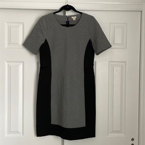 J. Crew Factory Shift Dress